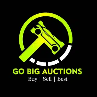 expert logo design services south africa