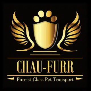 professional logo design services in pretoria