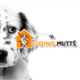 logo design company south africa